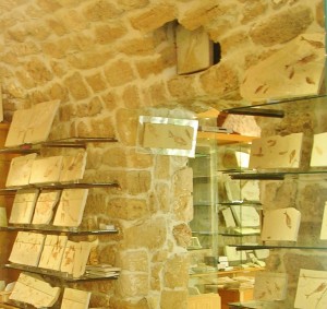 Libanon 2006 - Byblos, obchod se zkamenělinami u přístavu